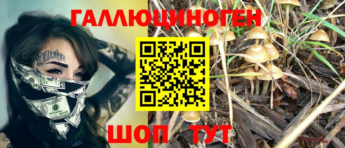 Ростов Великий  Псилоцибиновые грибы мицелий  Вход с VPN 